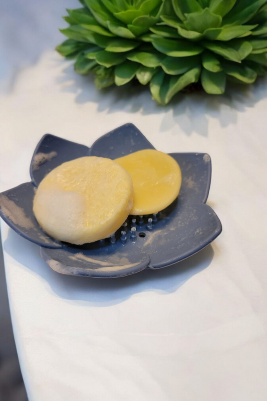 Conditioner Bars with Oat Protein